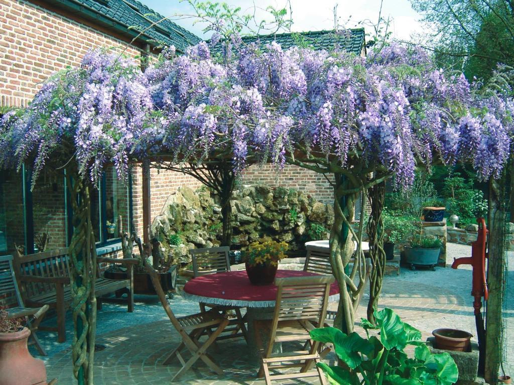 B&B Wisteria Herne Exterior foto